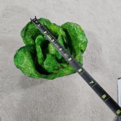 Cabbage Fruit Veggies Paper Mache Mexico Faux Food Summer Decor