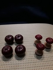 Small wooden carved red apples 4 whole and 3 cores adorable 1.5″ x 1″