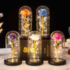 Eternal Forever Rose Flower In Glass Dome LED Light