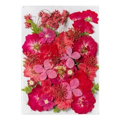 35PCS Real Dried Flowers Pressed Leaves for Epoxy Resin DIY Jewelry Making