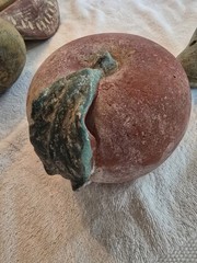 Vintage Terracotta Rustic Multicolor Fruit Set of 5 Decorative Home Décor