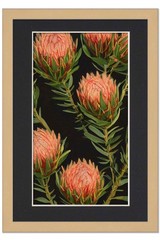 24×36 Frame Natural With Black Picture Mat For 24×36 Photo – Natural 28×40 Frame