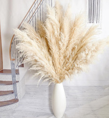 10Pcs 40» Pampas Grass Tall Decor – Pompas Floral, Tall Pampas Grass for Floor