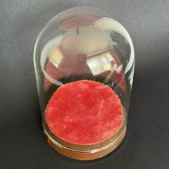 Vintage Miniature Glass Display Dome Cloche with Velvet Wood Pedestal Base 5″