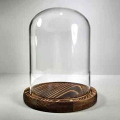 Glass Display Dome, Glass and Wood Cloche, Oddities Display Case