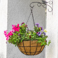 20 In. Dia Black Metal Hanging Basket with Coco Liner