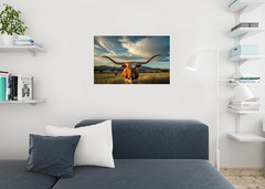 Texas Longhorn Cow Grazing at Dawn Photo Art Print Poster 24×36 inch