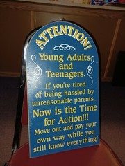 Vintage ATTENTION YOUNG ADULTS AND TEENAGERS Humorous wooden sign NISP! 19X11