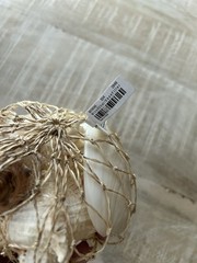 Pottery Barn Mixed Shell Vase Filler – 5 Shells NWT