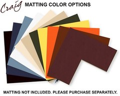 Craig Frames 7×18 Double CD Wall Display Mat and Solid Black 1″ Wide Frame