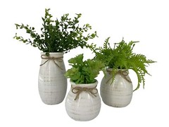 Cream Ceramic Vase with Small Succulent, Medium Fern, or Large Baby Grass