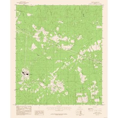 Topographical Map – Camden Texas Quad – USGS 1979 – Vintage Wall Art