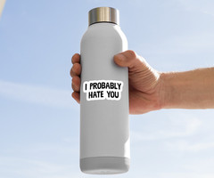 I Probably Hate You Vinyl Sticker – Funny Sarcastic Decal