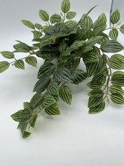 Ceramic Potted Faux Artificial Plant 6 In Height 15 In Length – Brand New!