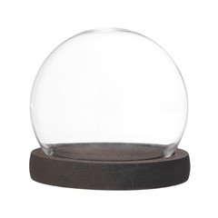 Cloche Glass Dome, D3.9In Ball Jar with Wooden Base for Small Plants [Burnt]