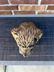 Golden Doodle Statue 3d Printed Hand Painted Weighted Decor