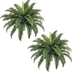 Stunning 35″ Indoor/Outdoor Ferns – 2 Realistic Boston Ferns for All Occasions