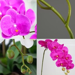 9 Heads Artificial Phalaenopsis Flowers 4 Pcs Artificial Orchid Flowers 42 in…