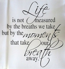 *** Life Breath Moments Quote Vinyl Wall Decal Removable Letter Word Art Sticker