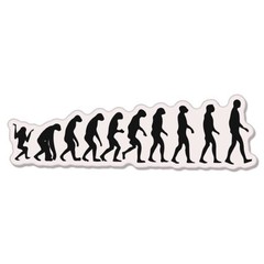 Evolution Darwin Monkey Apes car bumper sticker decal 8″ x 3″