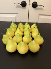 Lot of 19 Faux Pear Fruit 3 in x 2.5 in Realistic Fake Farmhouse Home Decor C