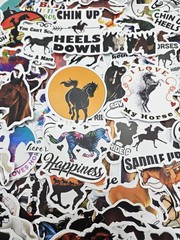 50 pcs Horse Stickers Equestrian Sport Decals DIY Crafting