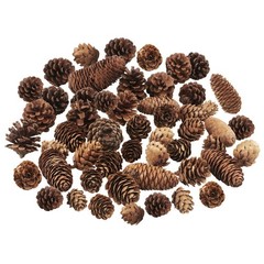 Pine Cone Decor 40Pcs, Mixed Sizes, Rustic Home Decor, Wedding, Brown