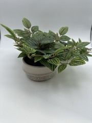 Ceramic Potted Faux Artificial Plant 6 In Height 15 In Length – Brand New!