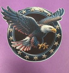 5 inch Patriotic Bald Eagle Circle American Flag Vinyl Sticker Decal USA