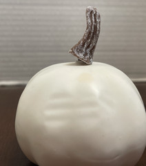 Artificial Pumpkins Assorted Sizes Rustic Harvest White Fall Decor Halloween