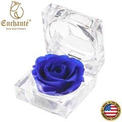 REAL Preserved Eternity Forever Rose Ring Box Proposal Valentine’s Day Gift