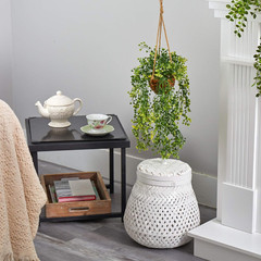 20in. Baby Tear Artificial Plant in Hanging Basket