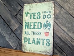 Yes I Need All These Plants Sign – Funny Plant Lover Garden Decor – 8 x 12 in