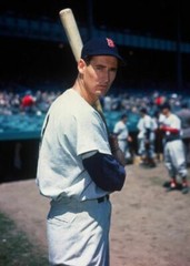 WALL POSTER: TED WILLIAMS Poster MLB Baseball Poster 2 (20×30)