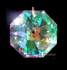Swarovski 28mm Octagon Lily Crystal Clear AB Pendant Prism Suncatcher w Logo