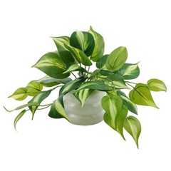 Mainstays Artificial Pothos in White Bubble Ceramic Vase 9-Inch Tabletop Decor