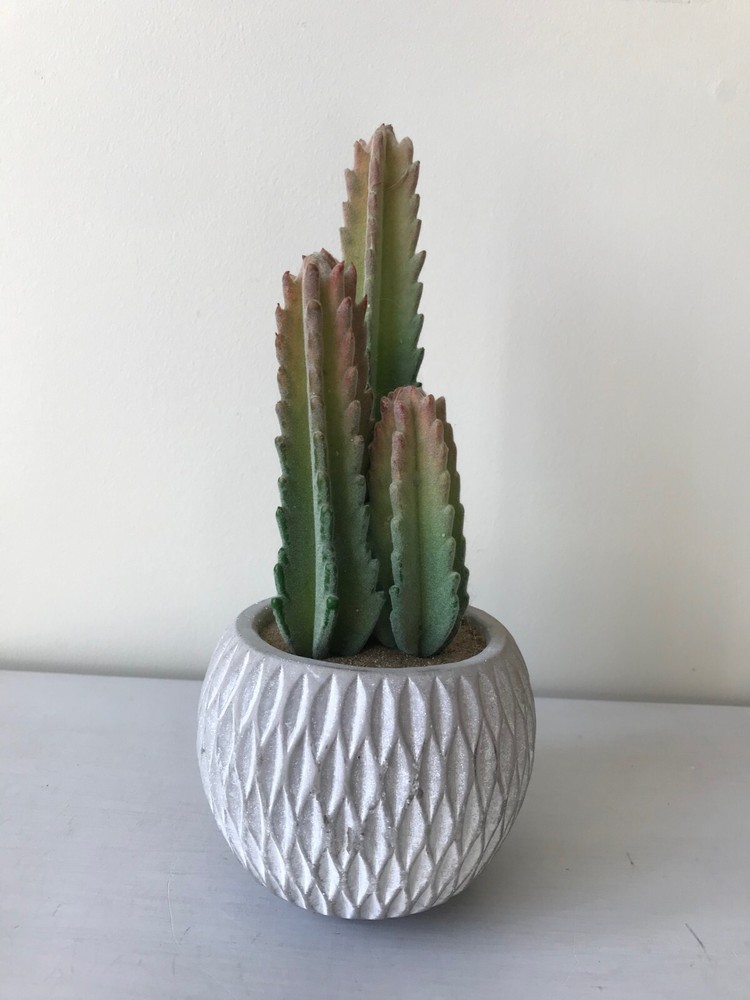 Ceramic Beige/White Potted ArtificialGreen Cactus Plant Home Decor, 10 x 4.25″