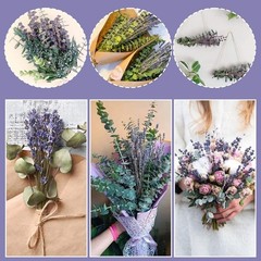 Bulk 100 Stems Dried Eucalyptus & Lavender, DIY Wedding Shower Decor Supplies