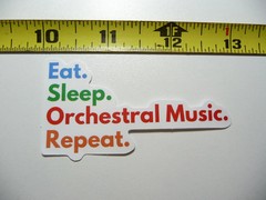 EAT SLEEP ORCHESTRA SMALL STICKER DECAL BAND CONCERT HALL MUSICAL FUNNY