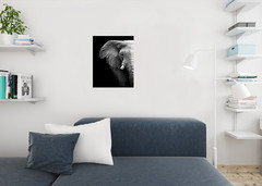 Black and White Elephant Partial Monochrome Art African Elephant Wall Art Elepha