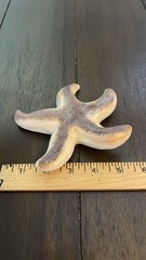 Set of 2 Beige & Purple Ceramic Starfish Wall Plaques 6”