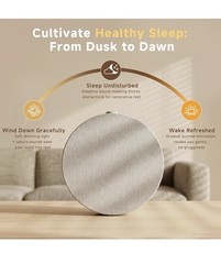 Sunrise Alarm Clock Wake Up Light White Noise Bluetooth Dimmable Khaki￼