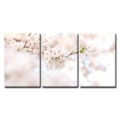 Wall26 – Cherry Blossom in Spring- Canvas Art Wall Home Decor – 16″x24″x3 Panels