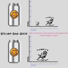 4pcs It Is What It Is and It’s Not Great Stickers – Funny Raccoon Meme Decals