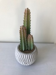 Ceramic Beige/White Potted ArtificialGreen Cactus Plant Home Decor, 10 x 4.25″