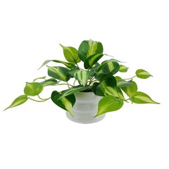 Mainstays Artificial Pothos in White Bubble Ceramic Vase 9-Inch Tabletop Decor
