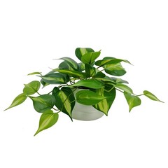 Mainstays Artificial Pothos in White Bubble Ceramic Vase 9-Inch Tabletop Decor