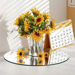 10PCS Small Round Mirrors for Centerpieces, 6inch Circle Mirror Centerpieces for