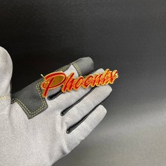 1PC PHOENIX Custom Text 3D Acrylic Car Emblem Badge Multicolor Fender Decal