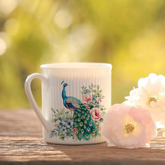 Transfer UV DTF Decals – 20 Sheets Vintage Birds UV DTF Cup Wraps for 16 oz Glas